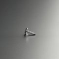 A single metallic rivet lies on a smooth, brushed metal surface. The rivet is silver, with Royalty Free Stock Photo