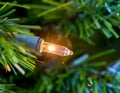 Single minature bulb from xmas tree Royalty Free Stock Photo