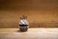 Single Mini Chocolate Cupcake Royalty Free Stock Photo