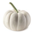 Single mini white pumpkin for Halloween isolated on white