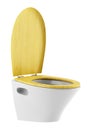 Single modern toilet bowl with wooden cover isolated