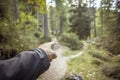 A single mountain path splits in two different directions. It`s an autumnal cloudy day