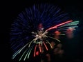 Single multicolor dandelion flower firework, celebration