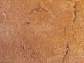 Single nail stick on mud baked clay wall background. Royalty Free Stock Photo