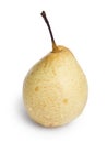 Single nashi pear Royalty Free Stock Photo