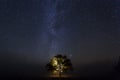 Single oak tree under starry sky at night Royalty Free Stock Photo