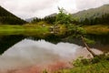 single oblique tree over the water from a mountain lake Royalty Free Stock Photo