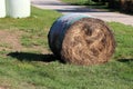 Single old dry hay bale wrapped in nylon protection mesh for preservation and storage left at local field on uncut grass
