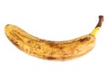 Single old yellow banana