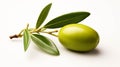 A single olive without leaf Illustration isolated on white background