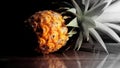 Single one full whole organic pineapple fruit on wooden background ripe fully grown mature, laid down reflect on the side