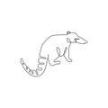 Single one line drawing of beautiful coati for company logo identity. Diurnal mammals mascot concept for national conservation