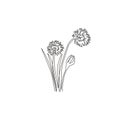 Single one line drawing of beauty fresh allium tuberosum for garden logo. Decorative chives flower concept for home wall decor art