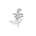 Single one line drawing of beauty fresh amaranthus for garden logo. Decorative amaranth flower concept for home wall decor art