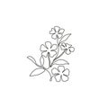 Single one line drawing of beauty fresh catharanthus for garden logo. Decorative periwinkle flower concept for home wall decor art Royalty Free Stock Photo