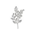 Single one line drawing beauty fresh common heather for garden logo. Decorative of calluna vulgaris concept for home decor wall