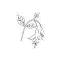 Single one line drawing beauty fresh fuchsia for garden logo. Decorative of shrubs flowering plant concept for home decor wall art