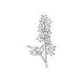 Single one line drawing beauty fresh larkspur for garden logo. Decorative of perennial delphinium concept for home wall decor art