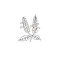 Single one line drawing beauty fresh pachystachys lutea for garden logo. Decorative lollipop plant flower for home decor wall