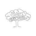 Single one line drawing of exotic and beauty marula tree. Decorative sclerocarya birrea for greeting post card. World tourism and
