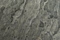 Single one slab concrete cement floor pattern texture background random unique Royalty Free Stock Photo