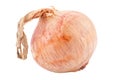 Single onion Royalty Free Stock Photo