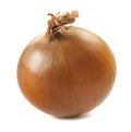 Single onion bulb isolated on white background