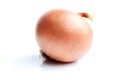 Single onion on white Royalty Free Stock Photo