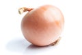 Single onion on white Royalty Free Stock Photo