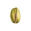 A Single Opened Pistachio Nut Royalty Free Stock Photo
