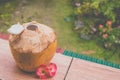 A single opened Yellow Coconut with red orchids