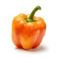 Single Orange Bell Pepper Isolated on White Background PNG Royalty Free Stock Photo