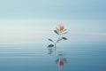 a single orange flower floating in the middle of the water Royalty Free Stock Photo