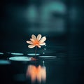 a single orange flower floating in the water Royalty Free Stock Photo