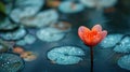 A single orange flower in a pond of green water lilies, AI