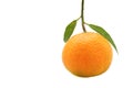 A single orange fruit with leaf isolated on white background Royalty Free Stock Photo