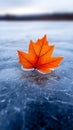 A single orange leaf floating on top of a frozen lake Royalty Free Stock Photo