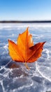A single orange leaf floating on top of a frozen lake Royalty Free Stock Photo