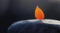 A single orange leaf rests on a dark gray rock. Royalty Free Stock Photo