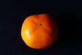 Single orange persimmon fruit against black background Royalty Free Stock Photo