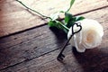 Single orange-pink rose and heart key shape on vintage wooden floor under soft warm light. Backdrop for Valentine& x27;s day. Love Royalty Free Stock Photo