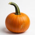 Single orange pumpkin with green stem Royalty Free Stock Photo