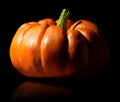 Single orange pumpkin on black Royalty Free Stock Photo