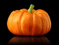 Single orange pumpkin isolated black Royalty Free Stock Photo