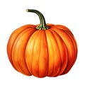 A Single Orange Pumpkin Isolated on a Black Background Royalty Free Stock Photo