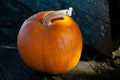 Single orange pumpkin on wooden cart Royalty Free Stock Photo