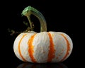Single orange striped pumpkin isolated black Royalty Free Stock Photo