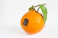 Single orange with switch in power off position on light grey ba Royalty Free Stock Photo