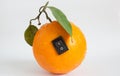 Single orange with switch in power off position Royalty Free Stock Photo