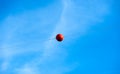 Single orange warning sphere on cable against sky